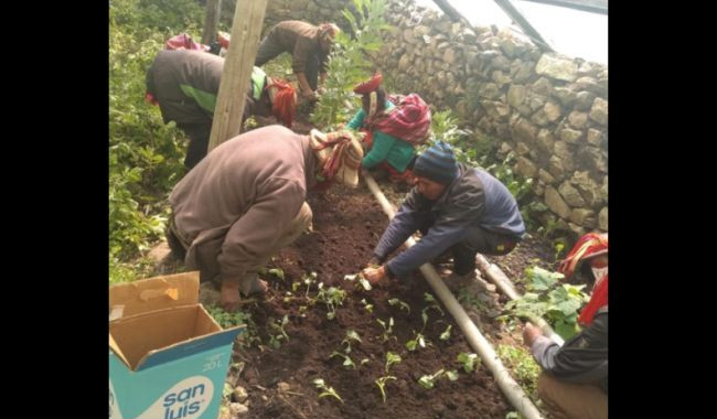 Stichting HoPe - Programma Voedselvoorziening - Holanda Peru